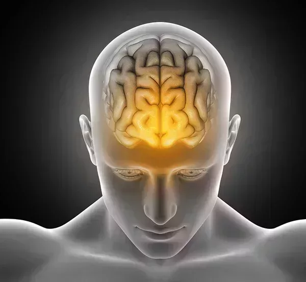 Parkinson Revalidatie